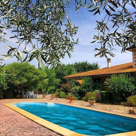 B&B Casa Vacanza Centro Sardegna Sorgono Dış mekan fotoğraf