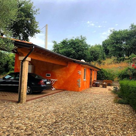 B&B Casa Vacanza Centro Sardegna Sorgono Dış mekan fotoğraf