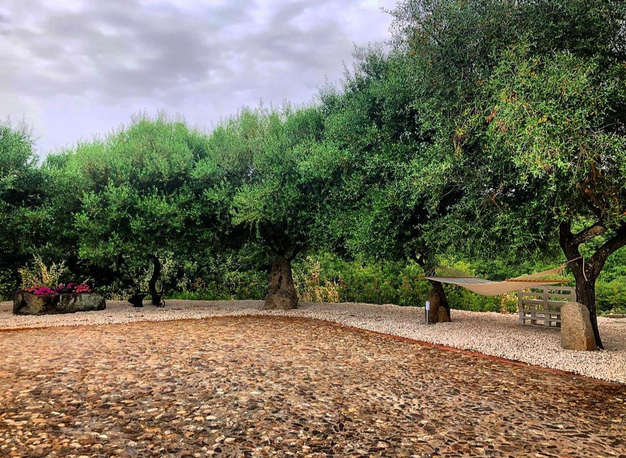 B&B Casa Vacanza Centro Sardegna Sorgono Dış mekan fotoğraf