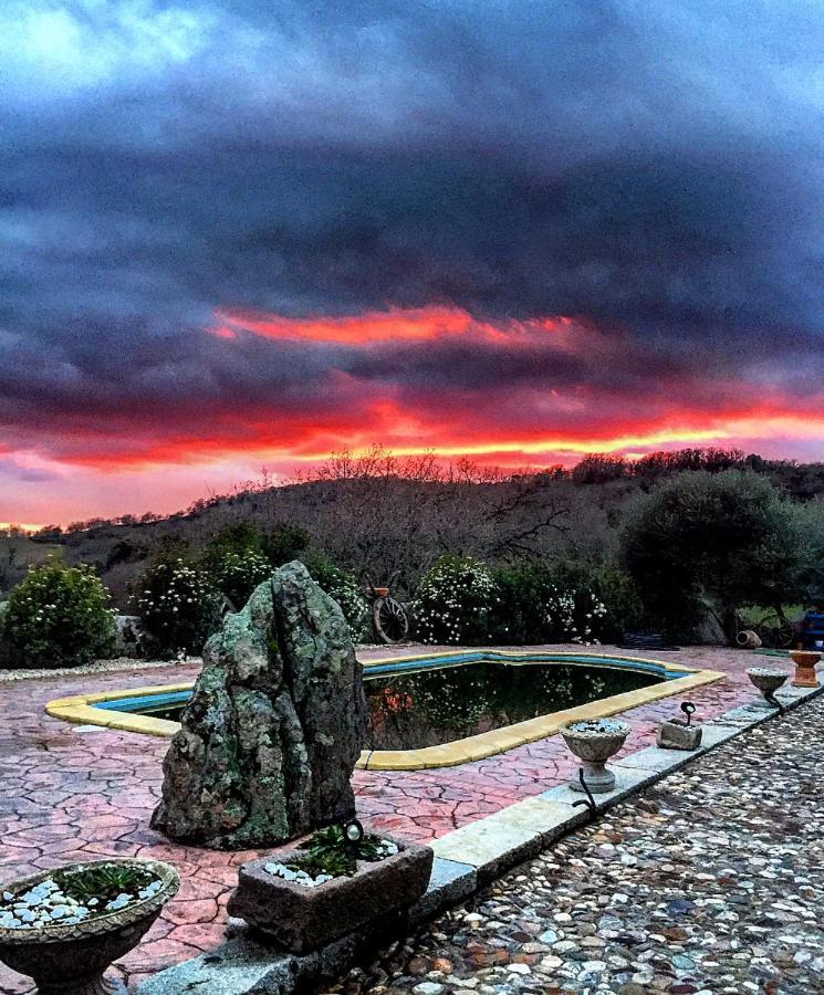 B&B Casa Vacanza Centro Sardegna Sorgono Dış mekan fotoğraf