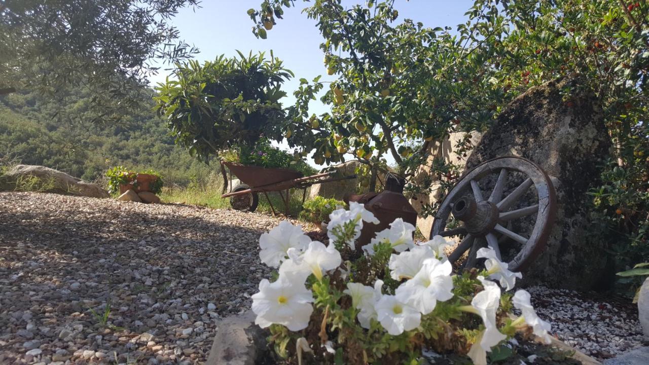 B&B Casa Vacanza Centro Sardegna Sorgono Dış mekan fotoğraf