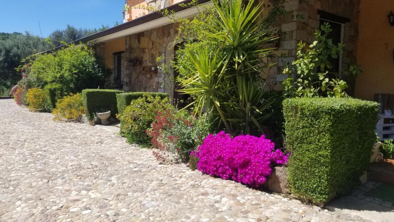 B&B Casa Vacanza Centro Sardegna Sorgono Dış mekan fotoğraf