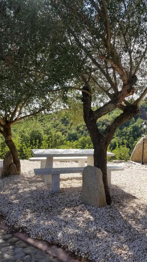 B&B Casa Vacanza Centro Sardegna Sorgono Dış mekan fotoğraf