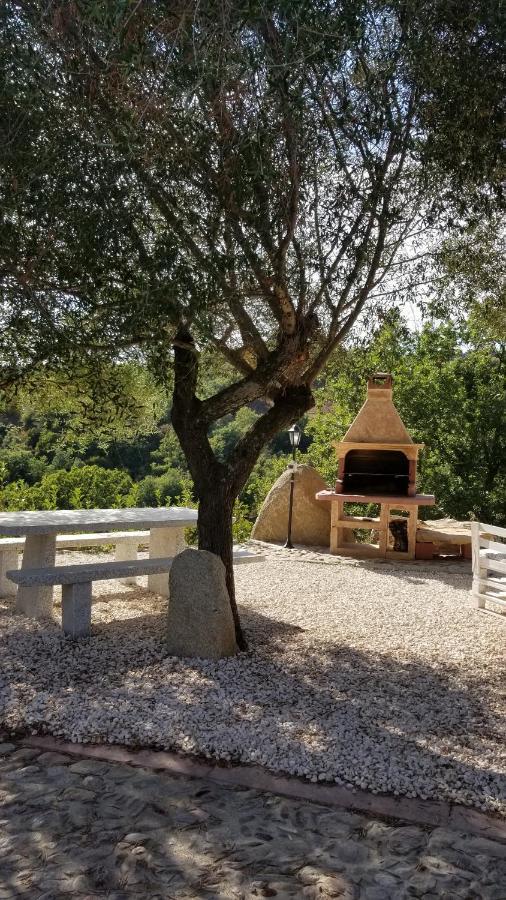 B&B Casa Vacanza Centro Sardegna Sorgono Dış mekan fotoğraf