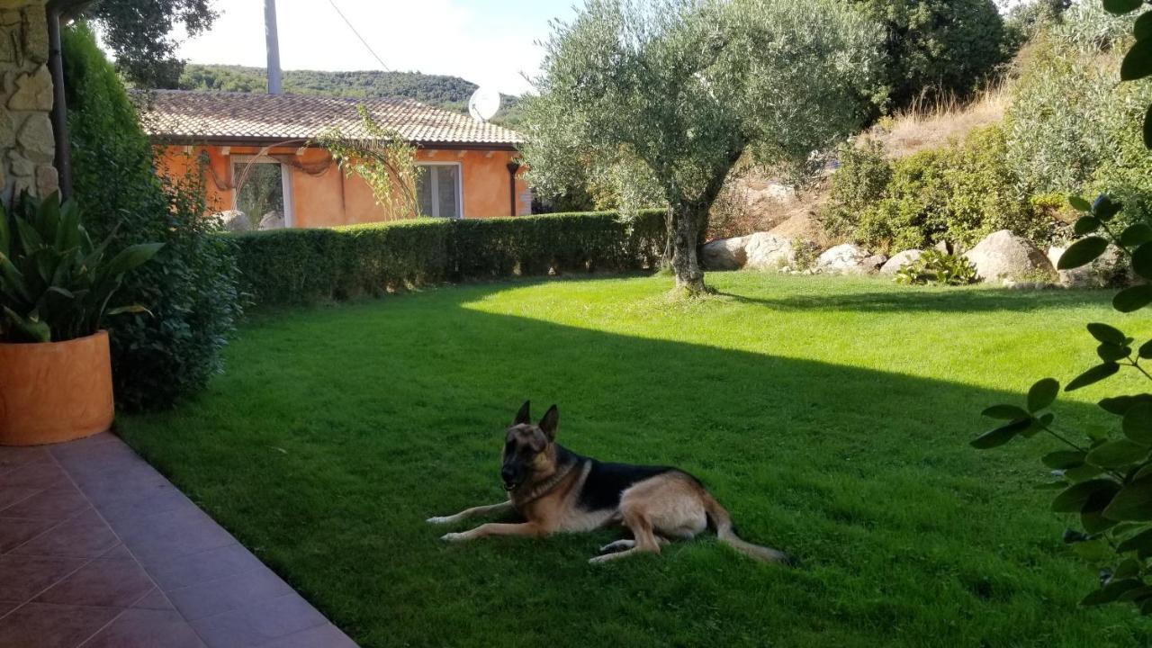 B&B Casa Vacanza Centro Sardegna Sorgono Dış mekan fotoğraf